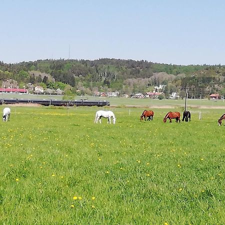 Stuga Pa Hammarbergs Gard Kungsbacka Esterno foto