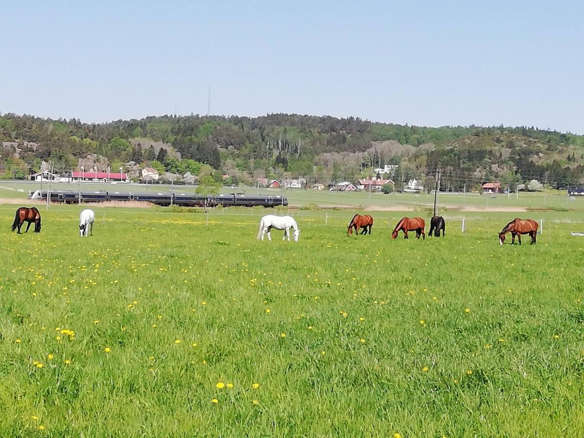 Stuga Pa Hammarbergs Gard Kungsbacka Esterno foto